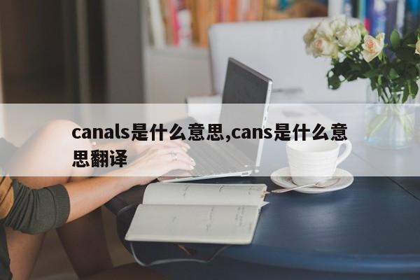 canals是什么意思,cans是什么意思翻译